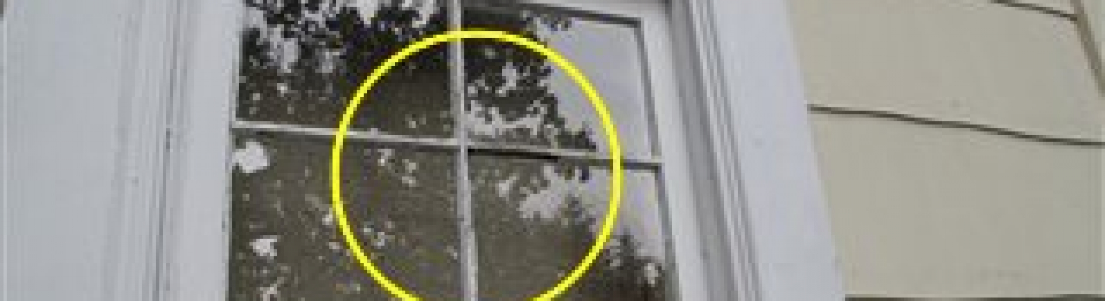 glazing putty window